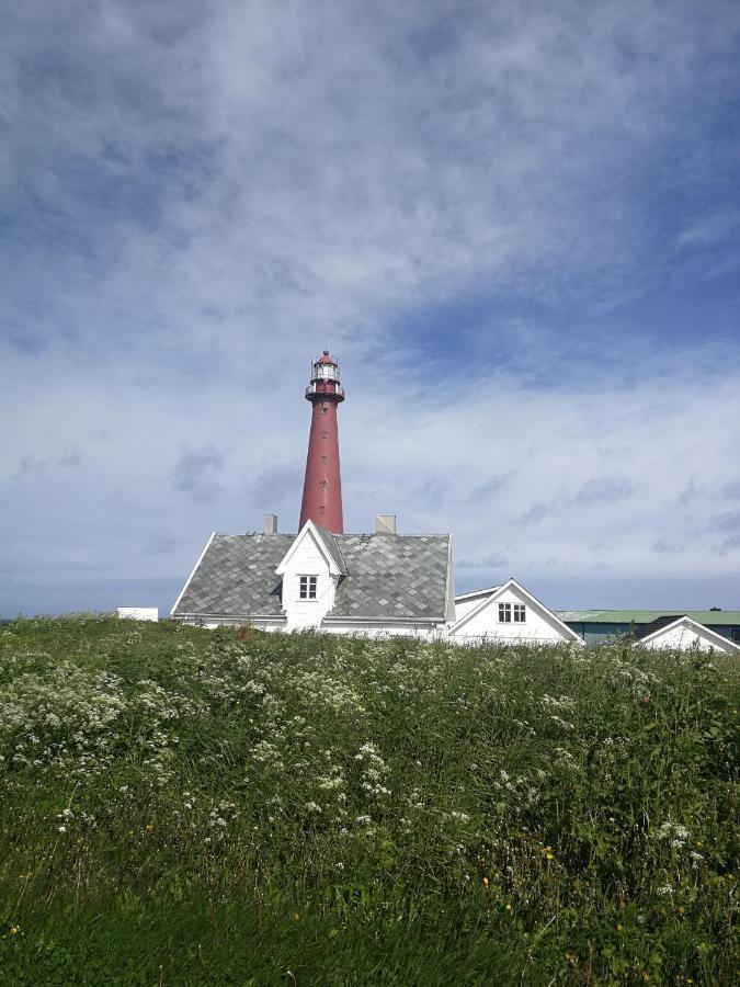 Apt 103 - Andenes Whale Safari Apartments Eksteriør bilde
