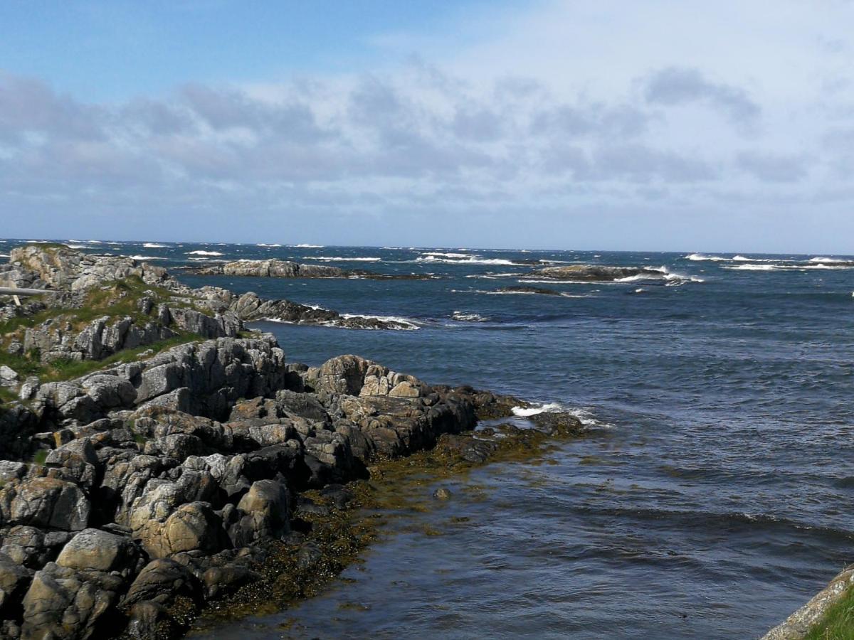 Apt 103 - Andenes Whale Safari Apartments Eksteriør bilde