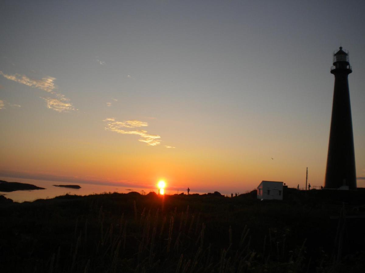 Apt 103 - Andenes Whale Safari Apartments Eksteriør bilde